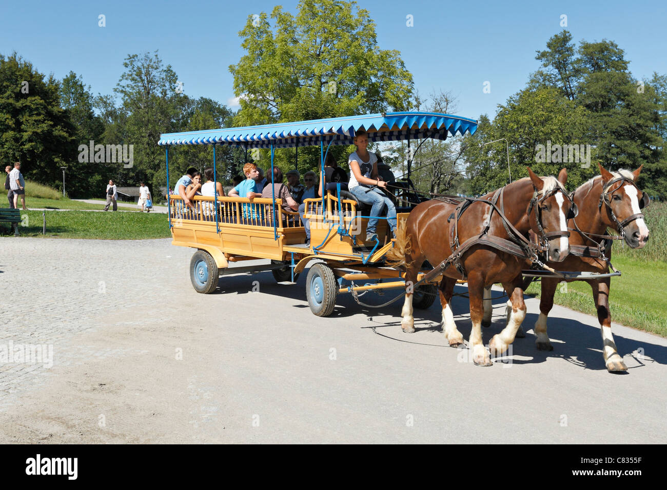 Carrozza a cavallo sulla Herreninsel, Chiemgau Alta Baviera Germania Foto Stock