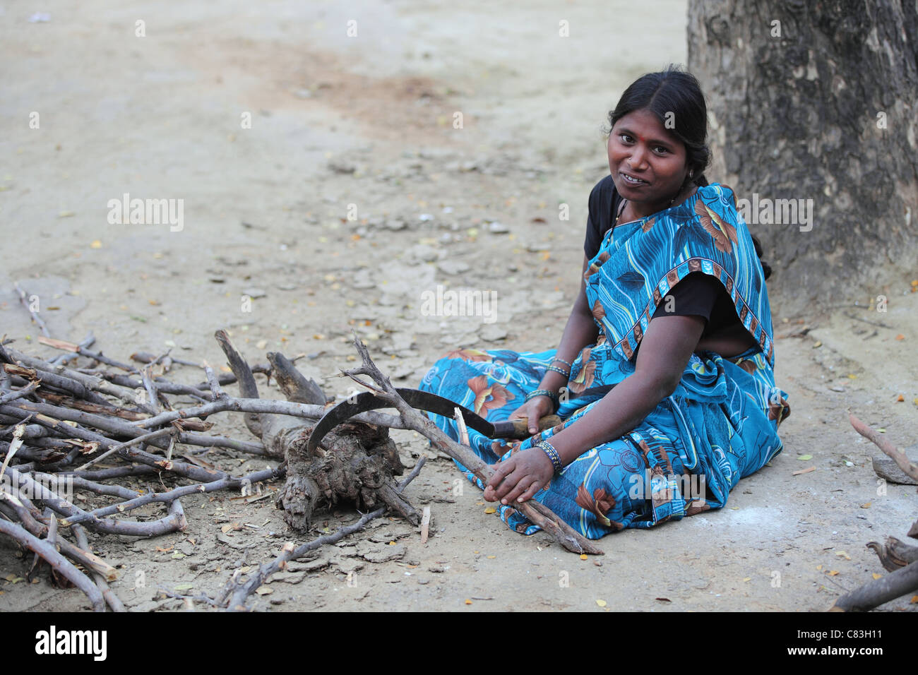 Donna indiana il taglio di legno Andhra Pradesh in India del Sud Foto Stock
