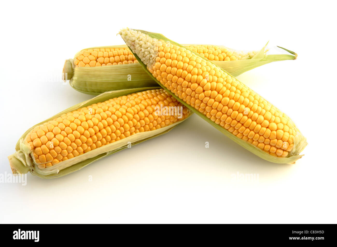 Sulla pannocchia di mais,impilati, su sfondo bianco Foto Stock