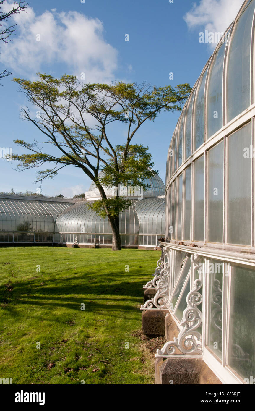 Il Giardino Botanico in Glasgow. Foto Stock