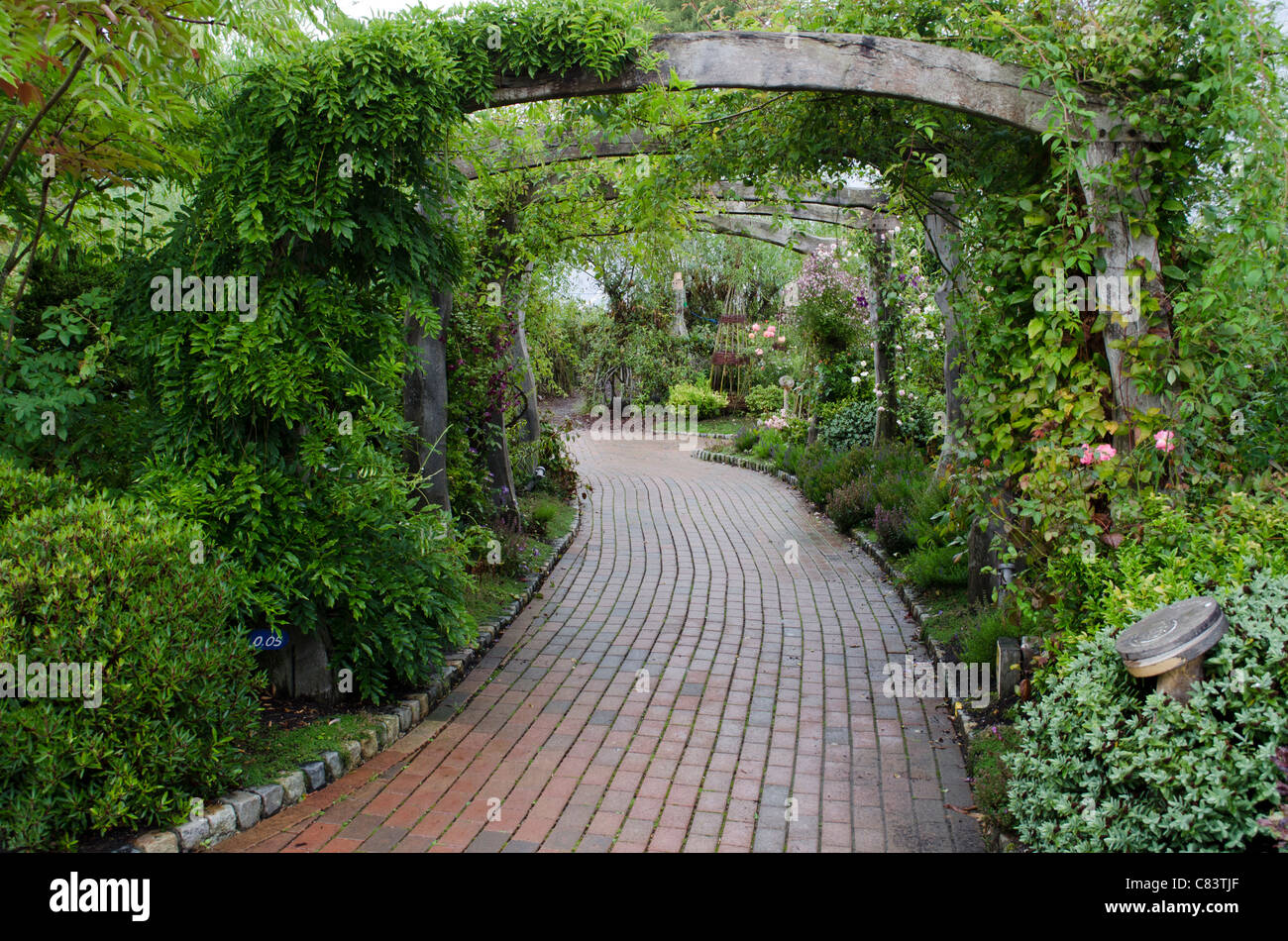 Leader di percorso in mattoni con giardino a baldacchino passerella con sovrastante piante e arbusti con prospettiva Foto Stock