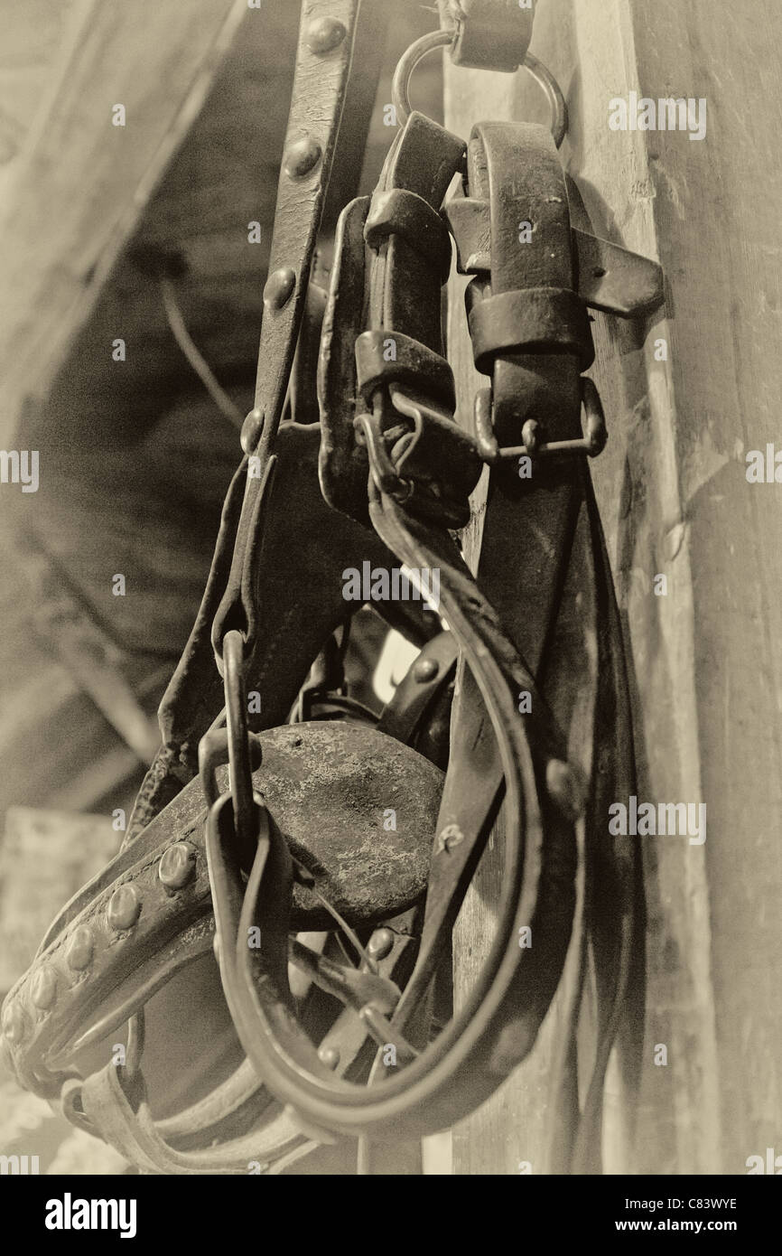 Parti di un cowboy sella comprendente una staffa, RCA e latigo Foto Stock