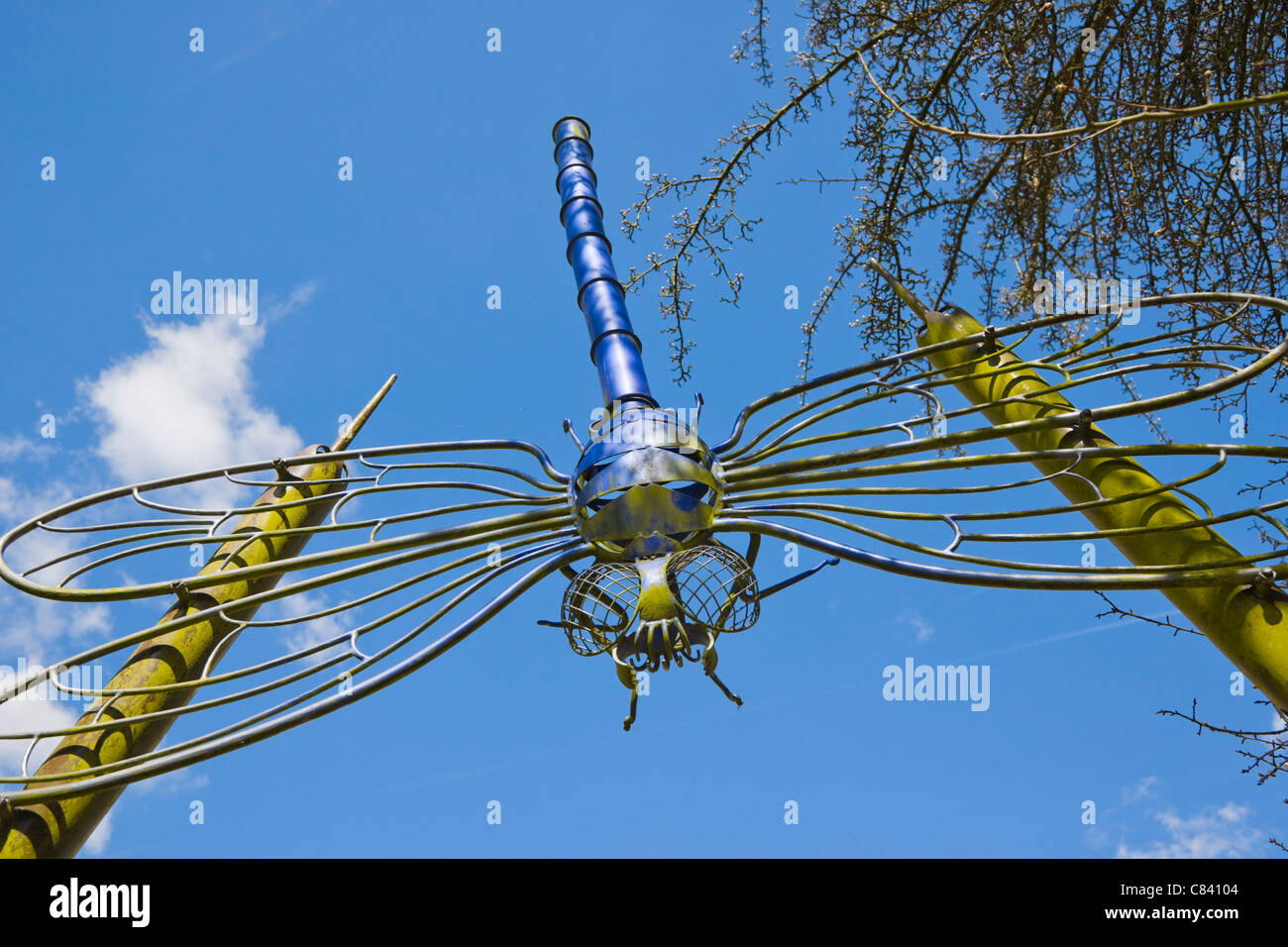 Dragonfly, Città Mills Pocket Park, Andover, Hampshire, Inghilterra, Regno Unito Foto Stock
