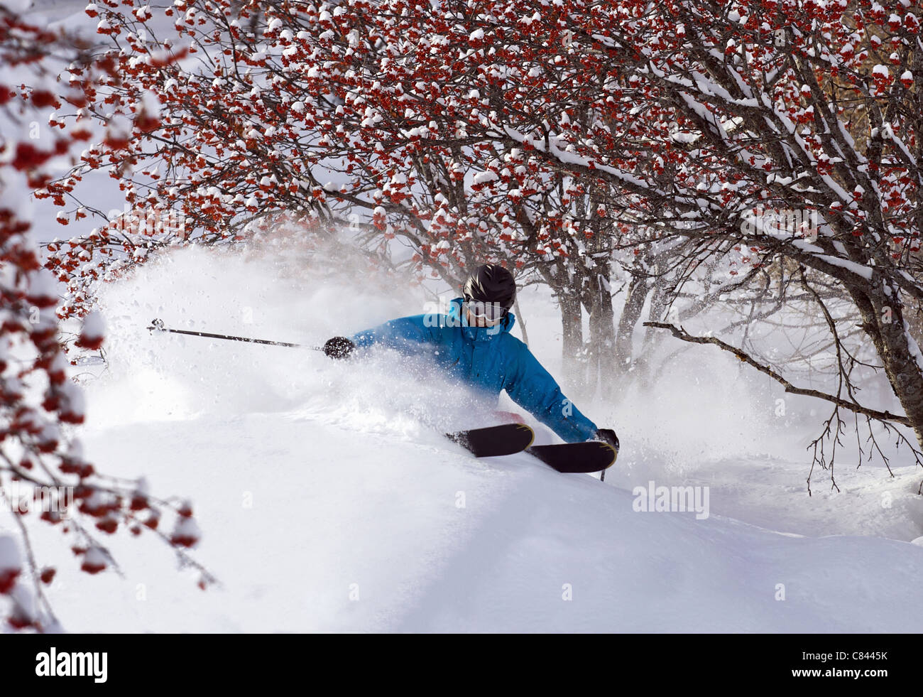 Cross country sciatore sul terreno nevoso Foto Stock