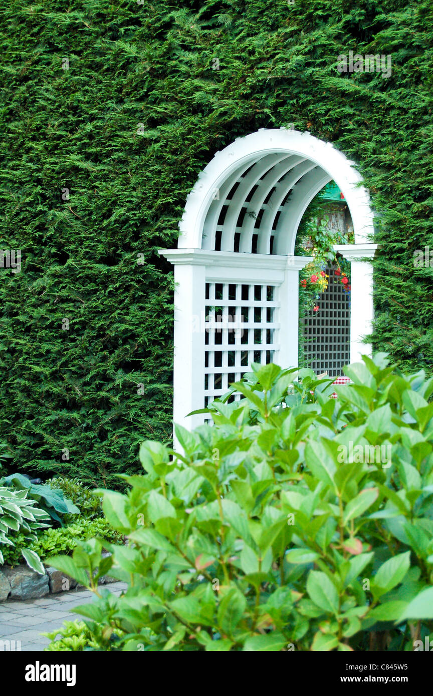 Varie Il verde delle foglie di consistenza e di colore - bianco intorno Arch - Butchart Gardens Foto Stock