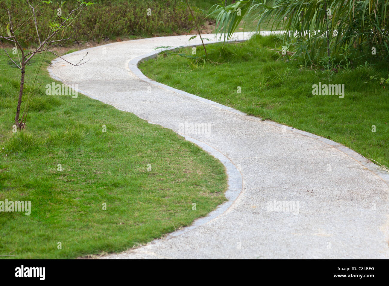 Prato, reed,piccolo albero, e curve marciapiede attorno a erba. Foto Stock