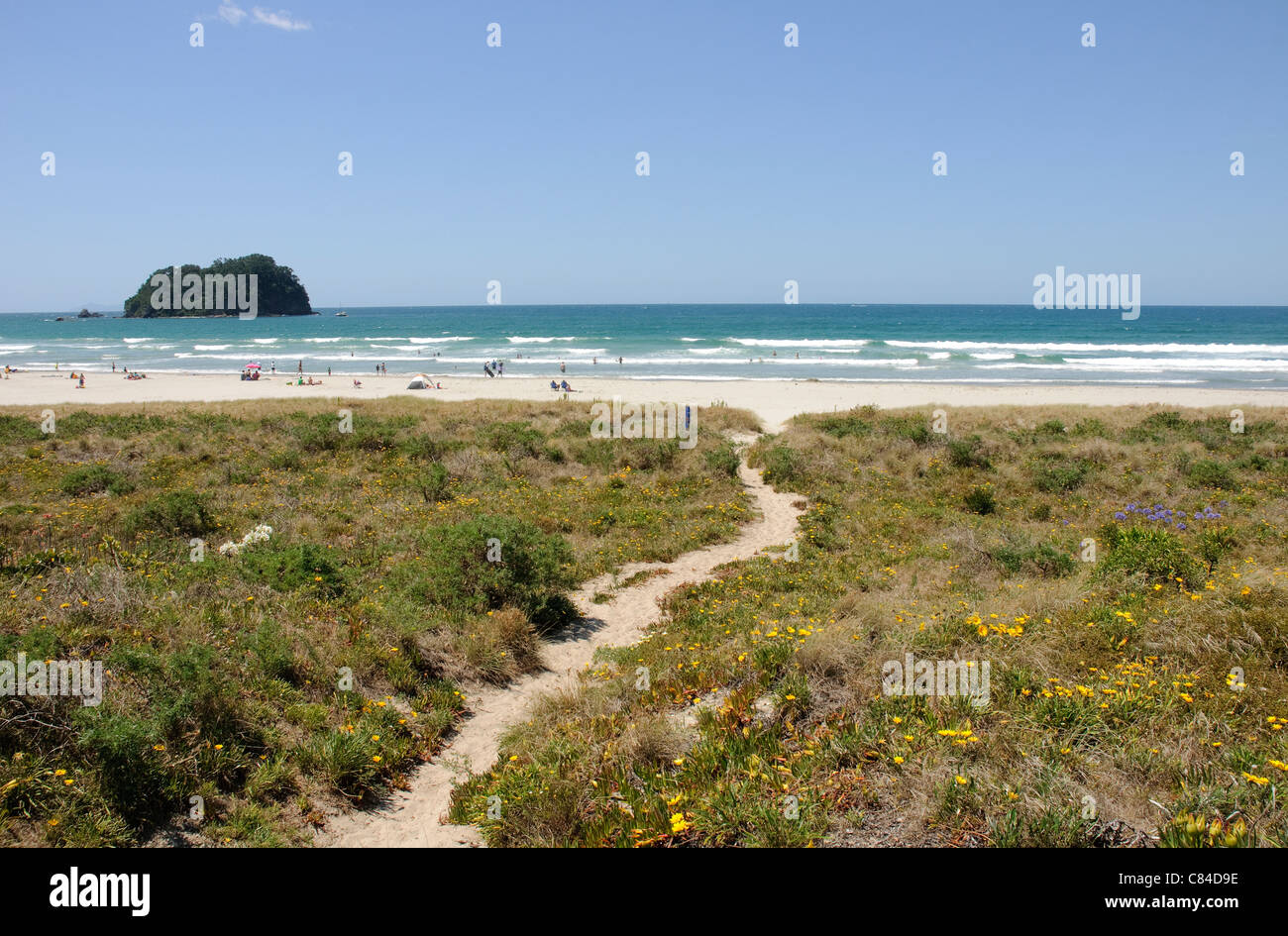 Papamoa spiaggia vicino Tauranga e Mount Maunganui nella Baia di Planty, Nuova Zelanda, scena del recente fuoriuscite di olio. Foto Stock