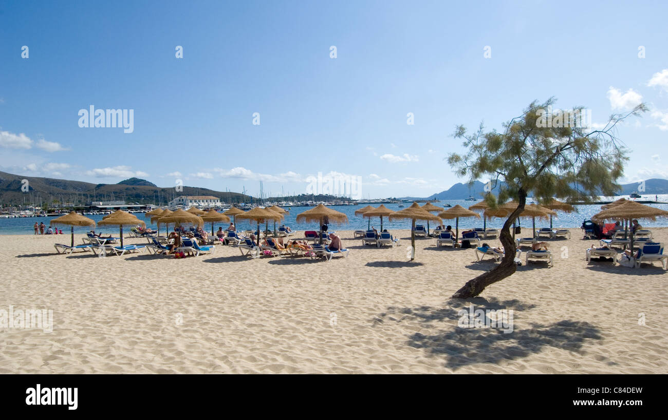 Mallorca, Port de Pollenca, spiaggia Foto Stock