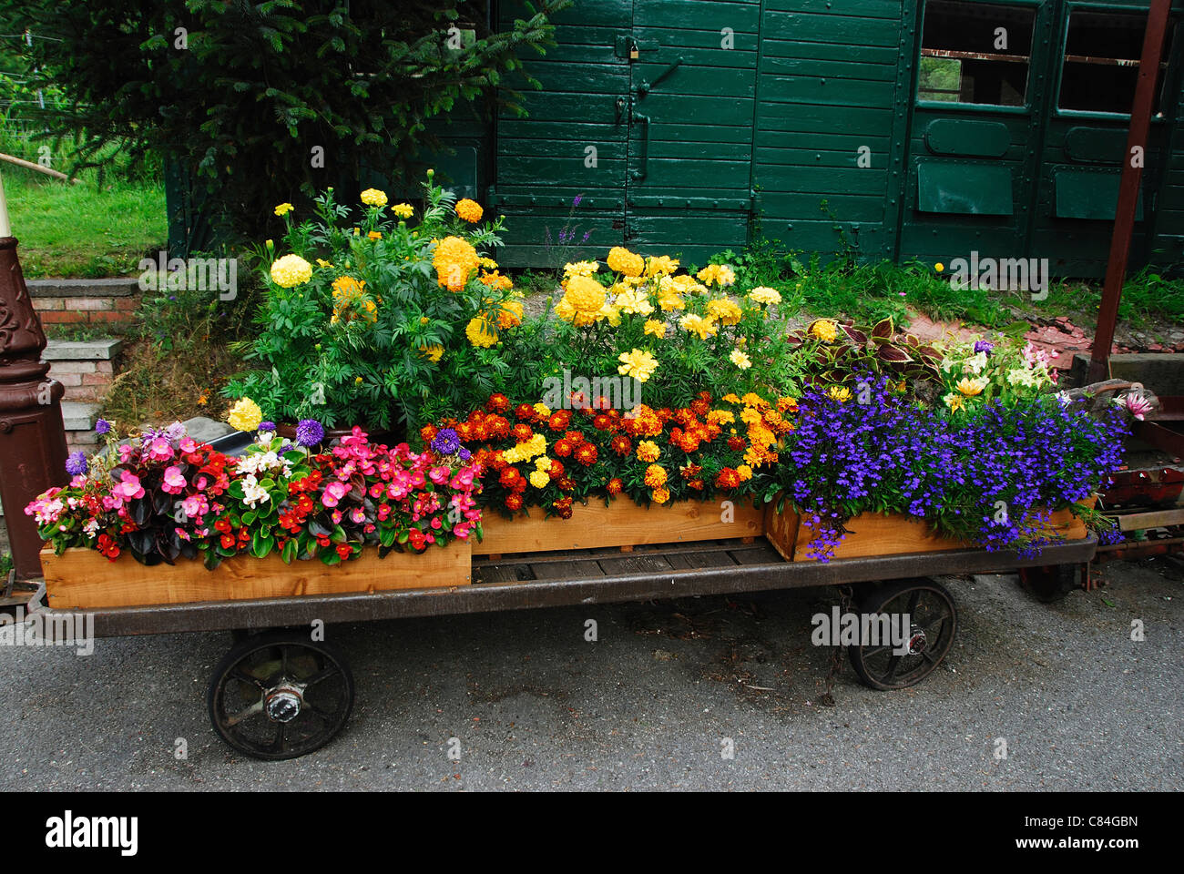 Un carrello caricato con colorati fiori annuali REGNO UNITO Foto Stock