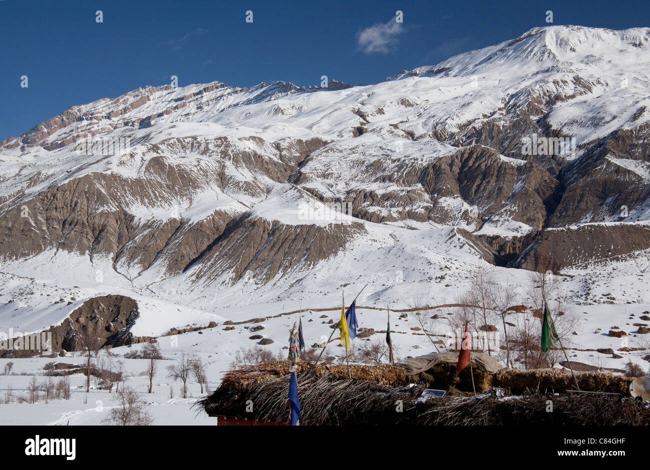 La Spiti Valley, l'Himalaya Himachal Pradesh, India Foto Stock