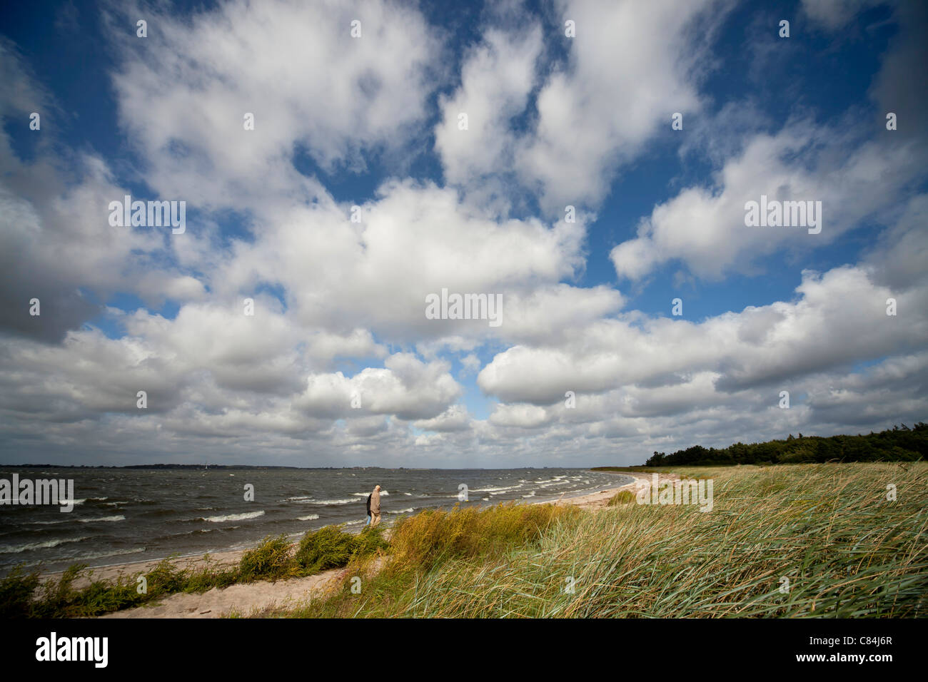 Giovane passeggiate sulle rive della Baia di Greifswald, città anseatica di Greifswald, Meclenburgo-Pomerania Occidentale, Germania Foto Stock