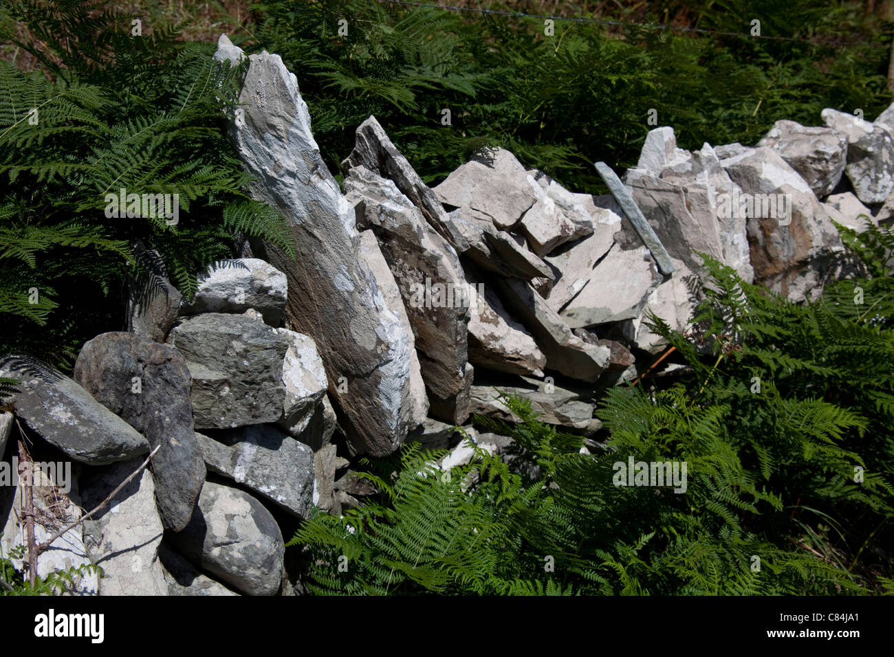Antiche rocce, Sherkin isola al largo Skibbereen Co Cork sud Irlanda Foto Stock