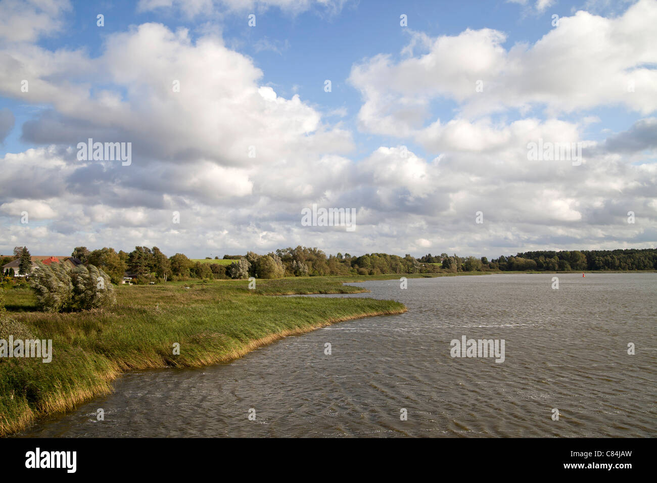 Il paesaggio e la riva della baia di Greifswald, città anseatica di Greifswald, Meclenburgo-Pomerania Occidentale, Germania Foto Stock