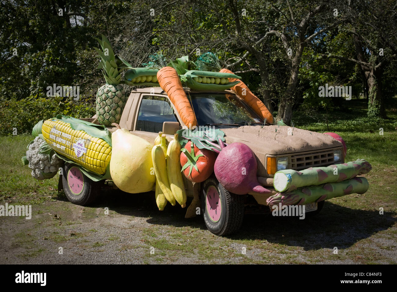 Funny auto parcheggiate vicino Riverhead, North Fork, Long Island, New York Foto Stock
