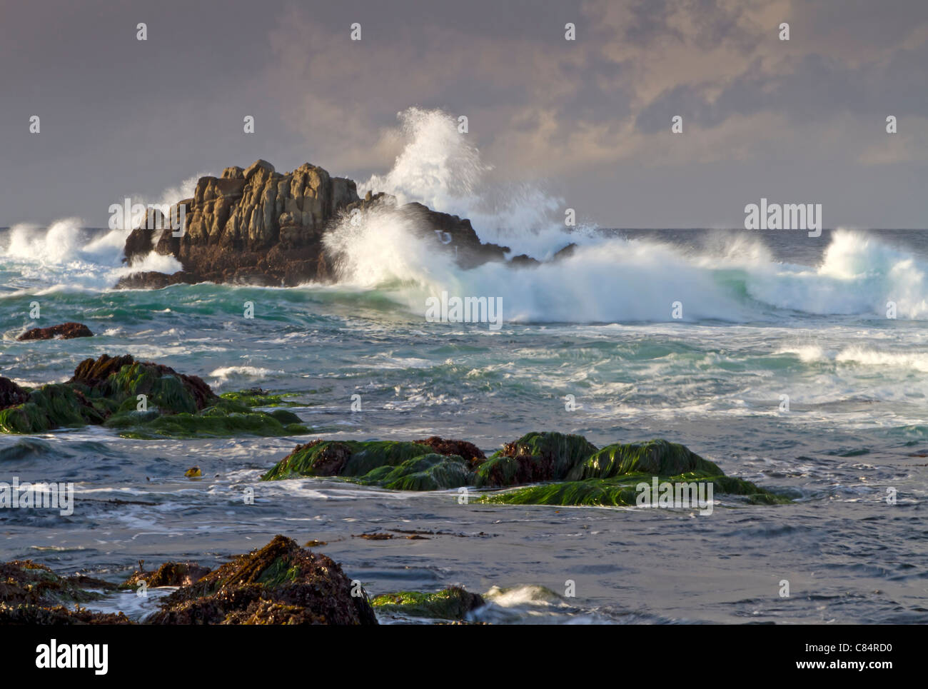 Rocce in acqua Foto Stock