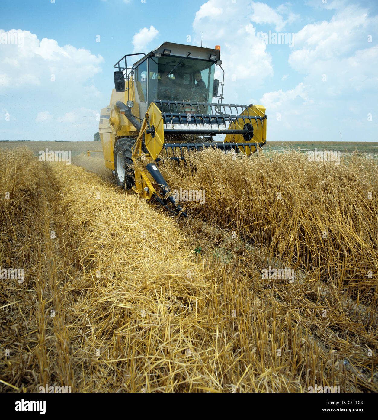 Tracciato di prova harvester combinando avena sperimentali prove tenute sulla stazione di ricerca, Hampshire Foto Stock