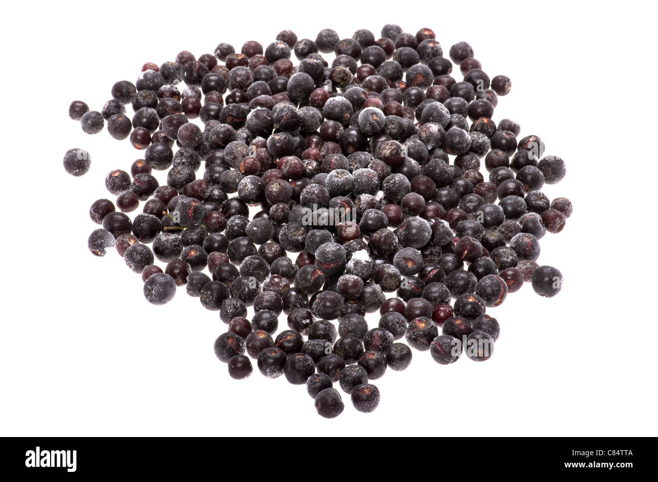Oggetto su bianco - cibo chokeberry in ghiaccio Foto Stock