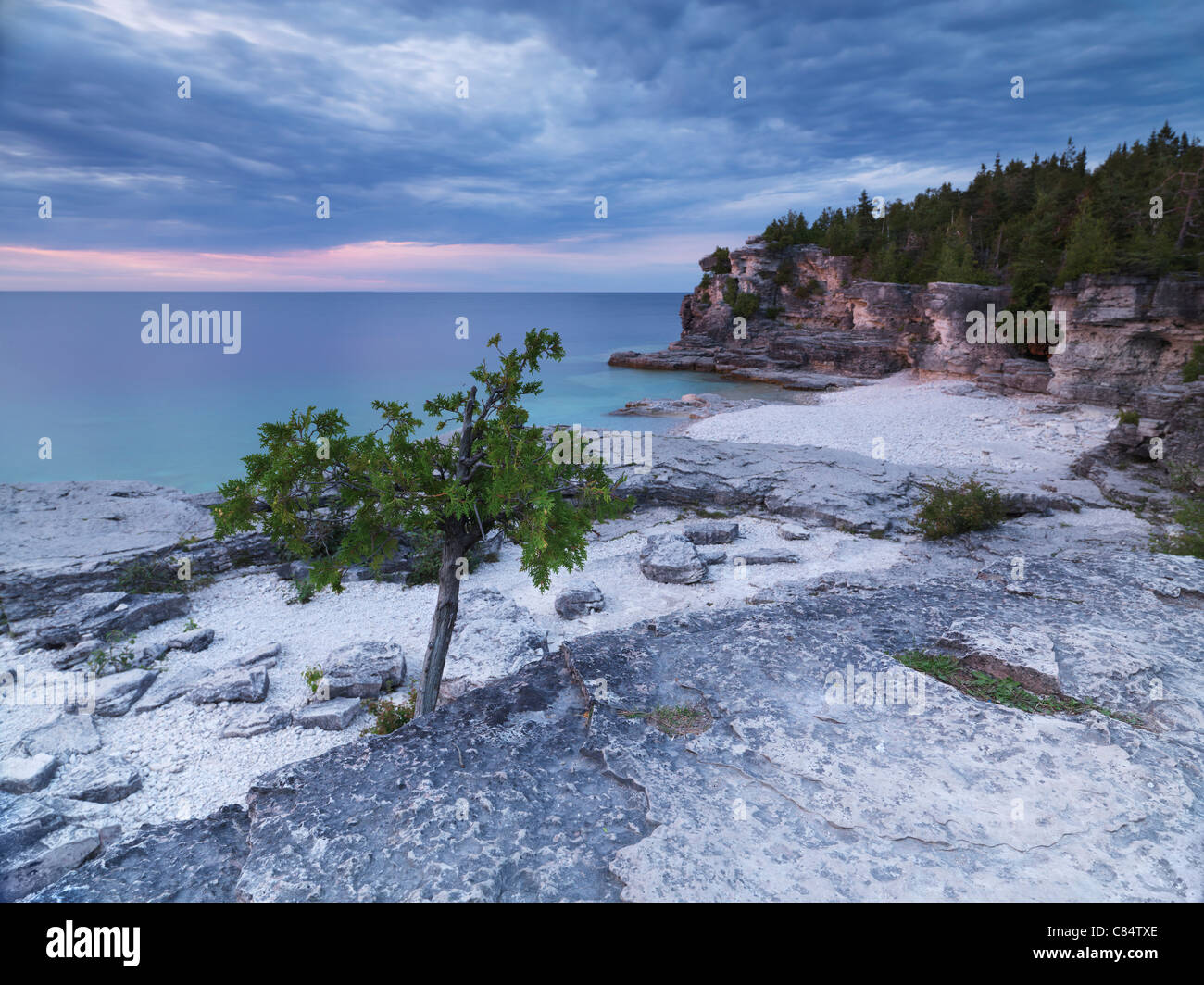 Tramonto stupendo scenario del Georgian Bay spiaggia rocciosa e scogliere abitate da alberi di cedro. Bruce Peninsula National Park, Ontario Foto Stock