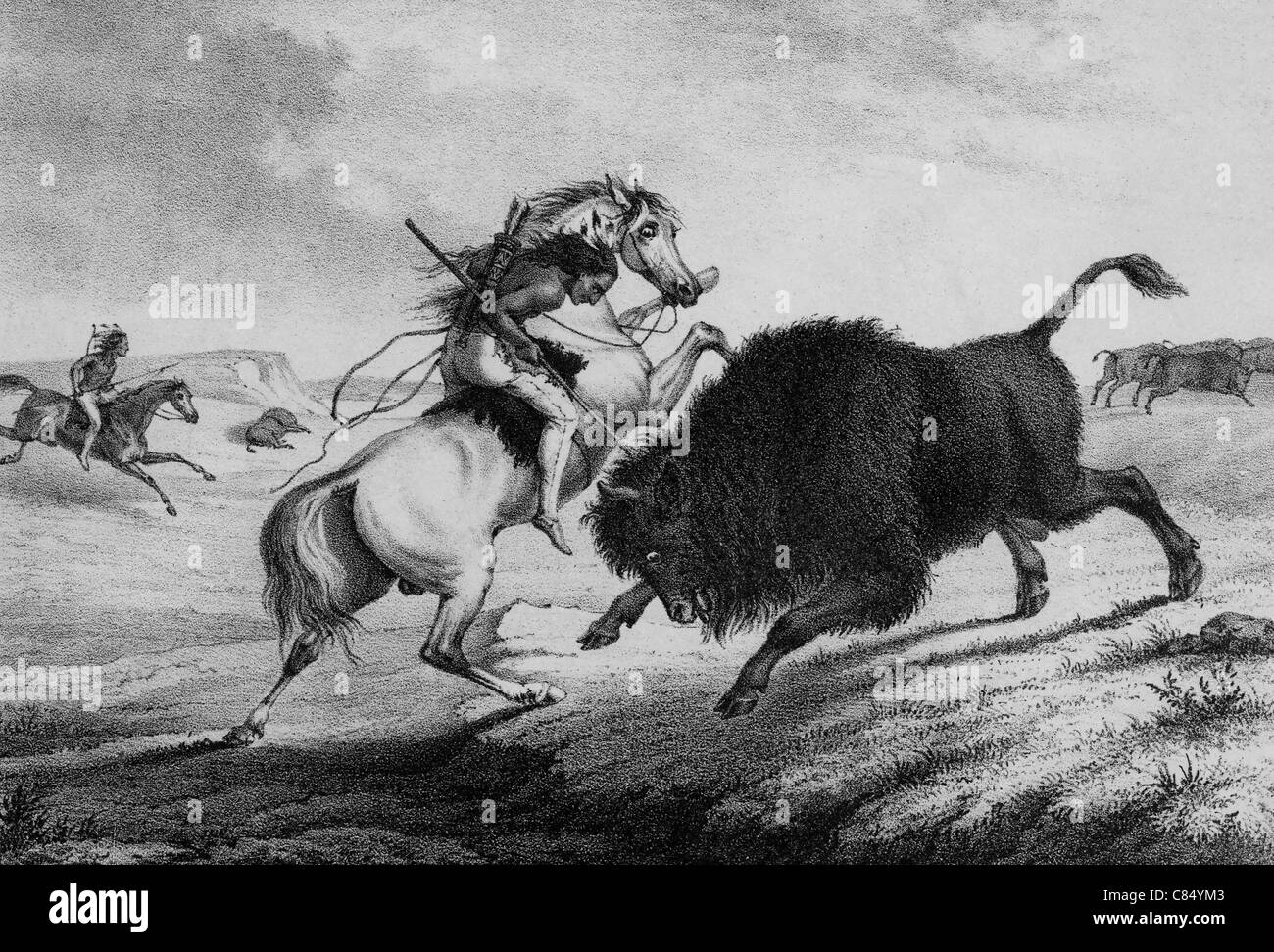 American Indian uomo a cavallo uccidendo bison Foto Stock