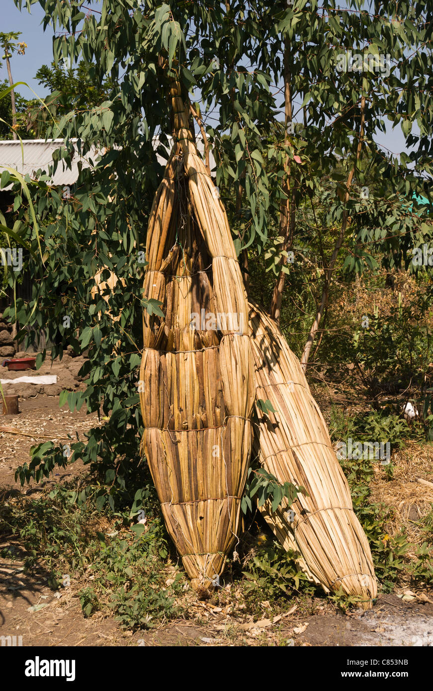 Elk200-2067v Etiopia, Bahar Dar, Lago Tana Tankwa papiro barca reed. Foto Stock