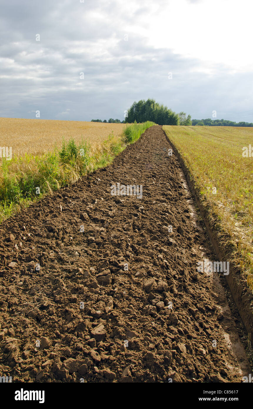 Appena campo arato solco. Terreno Fertile nel campo. Foto Stock