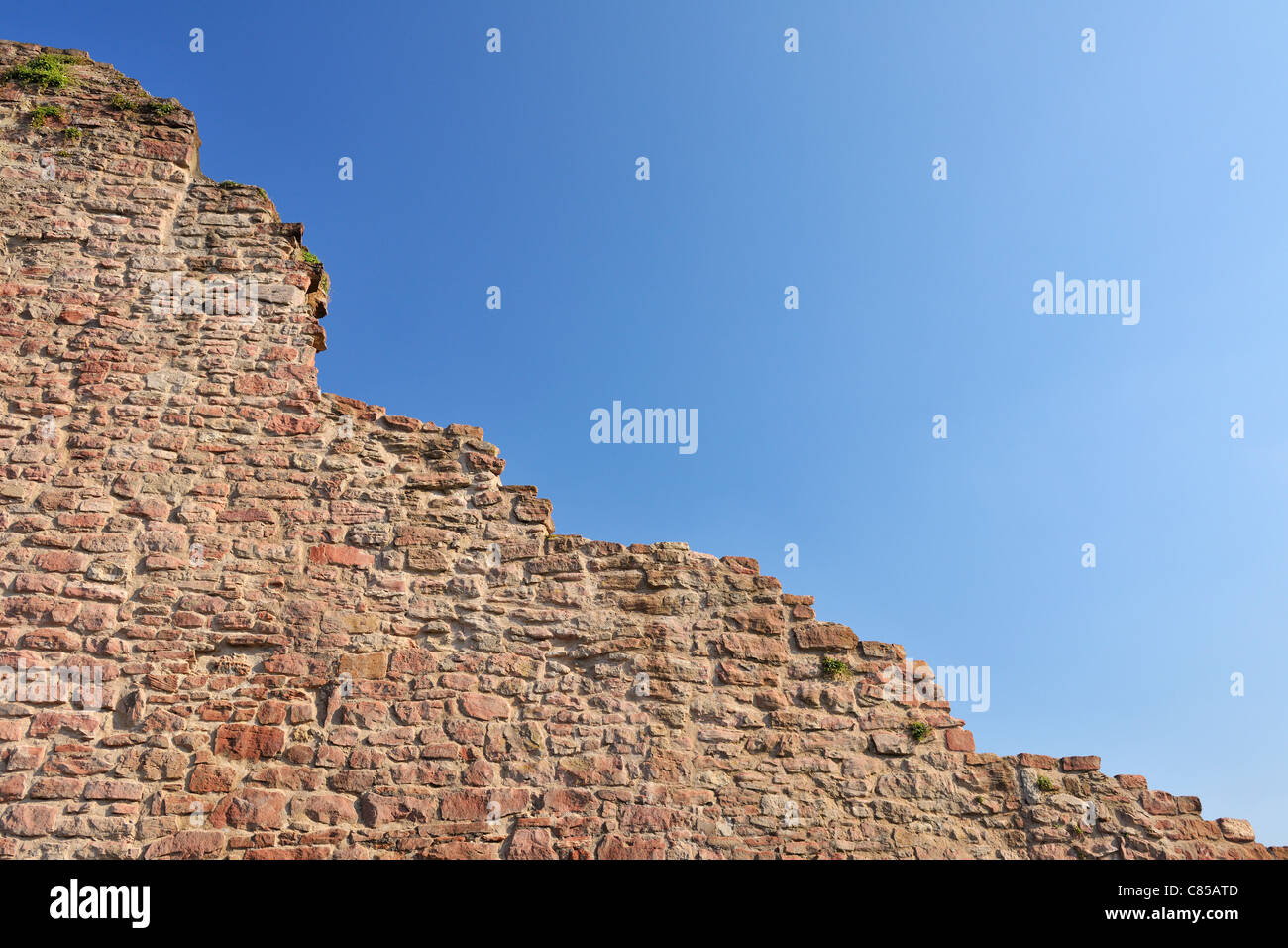 Muro di pietra, Wertheim, Baden-Württemberg, Germania Foto Stock