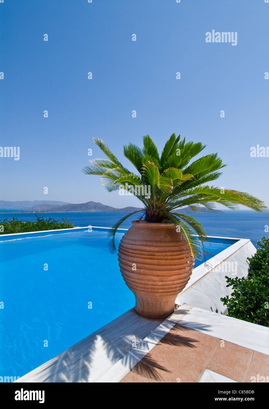 Il lusso piscina infinity affacciata sul Mar Egeo con palm e tipici Grecian urn Foto Stock