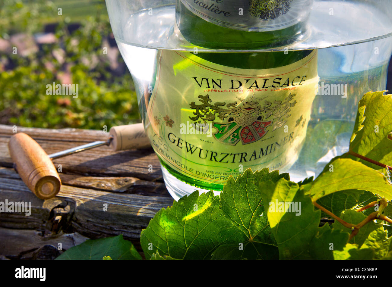 Il Gewurztraminer di bottiglie di vino Nel refrigeratore con sughero e cavatappi in vigneti Riquewihr villaggio del vino e vigneti in background Alsace Francia Foto Stock