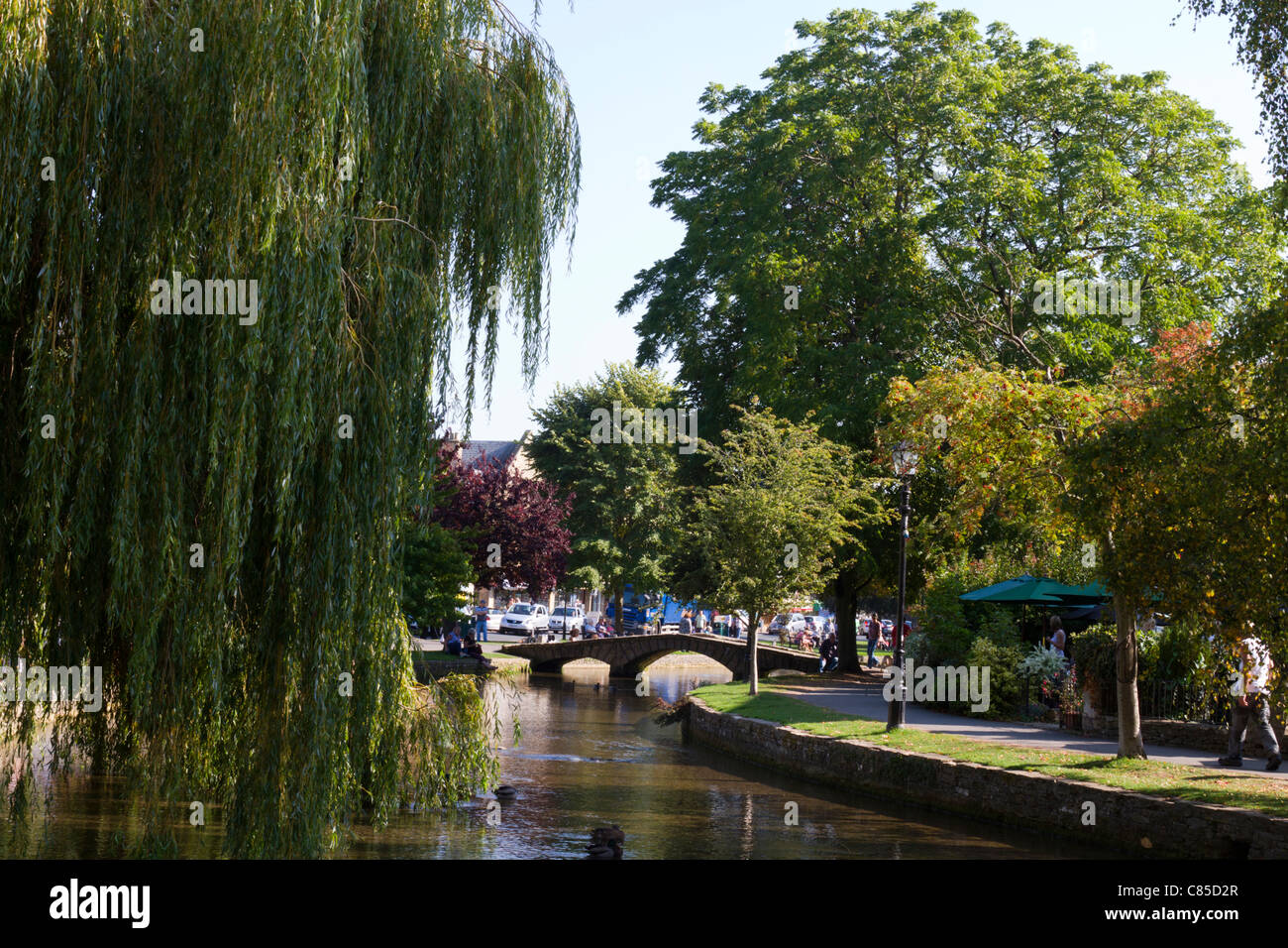 Il Fiume Windrush a Bourton-On-The-Water, Gloucestershire Foto Stock