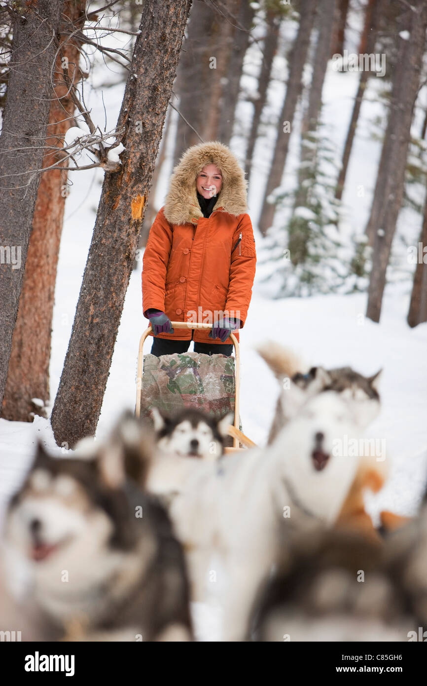 Donna con la slitta trainata da cani, Frisco, Summit County, Colorado, STATI UNITI D'AMERICA Foto Stock