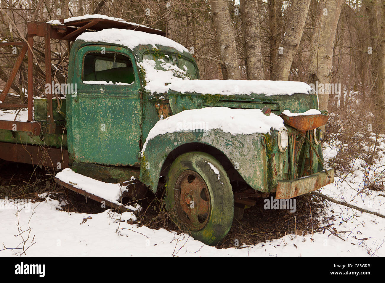 Rusty Verde Carrello Foto Stock