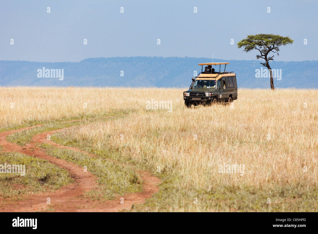 Safari veicolo, Masai Mara riserva nazionale, quartiere Narok, Rift Valley Provincia, Kenya Foto Stock