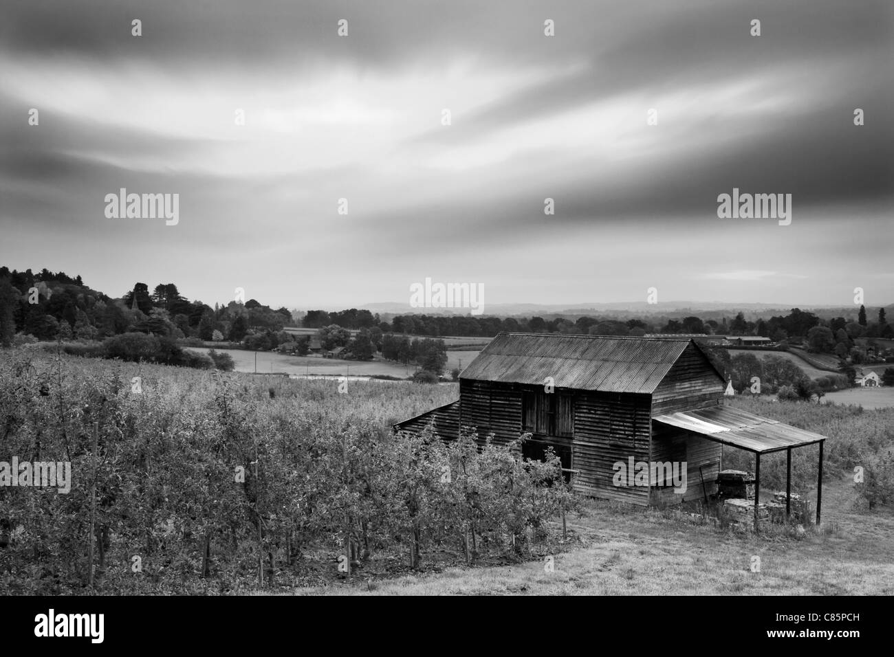 Il vecchio fienile di Apple nel frutteto GLOUCESTERSHIRE REGNO UNITO Foto Stock