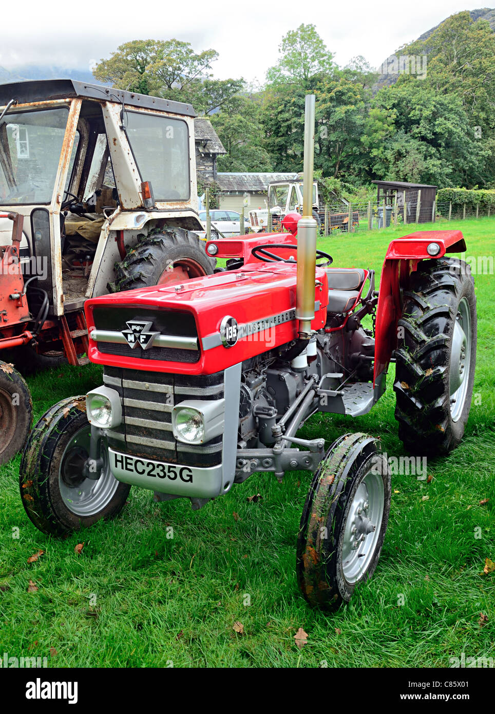 Trattore Massey Ferguson TE F20 - 30 cv - Veicoli commerciali In vendita a Treviso Trattore Massey Ferguson TE F20 - 30 cv - Veicoli commerciali In vendita a Treviso