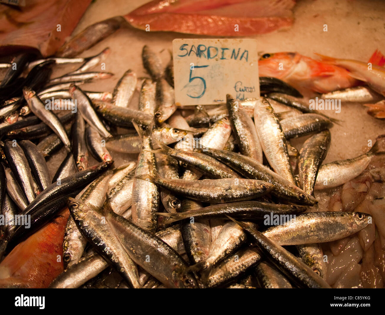 Sardine in mercato La Boqueria, Barcellona Foto Stock