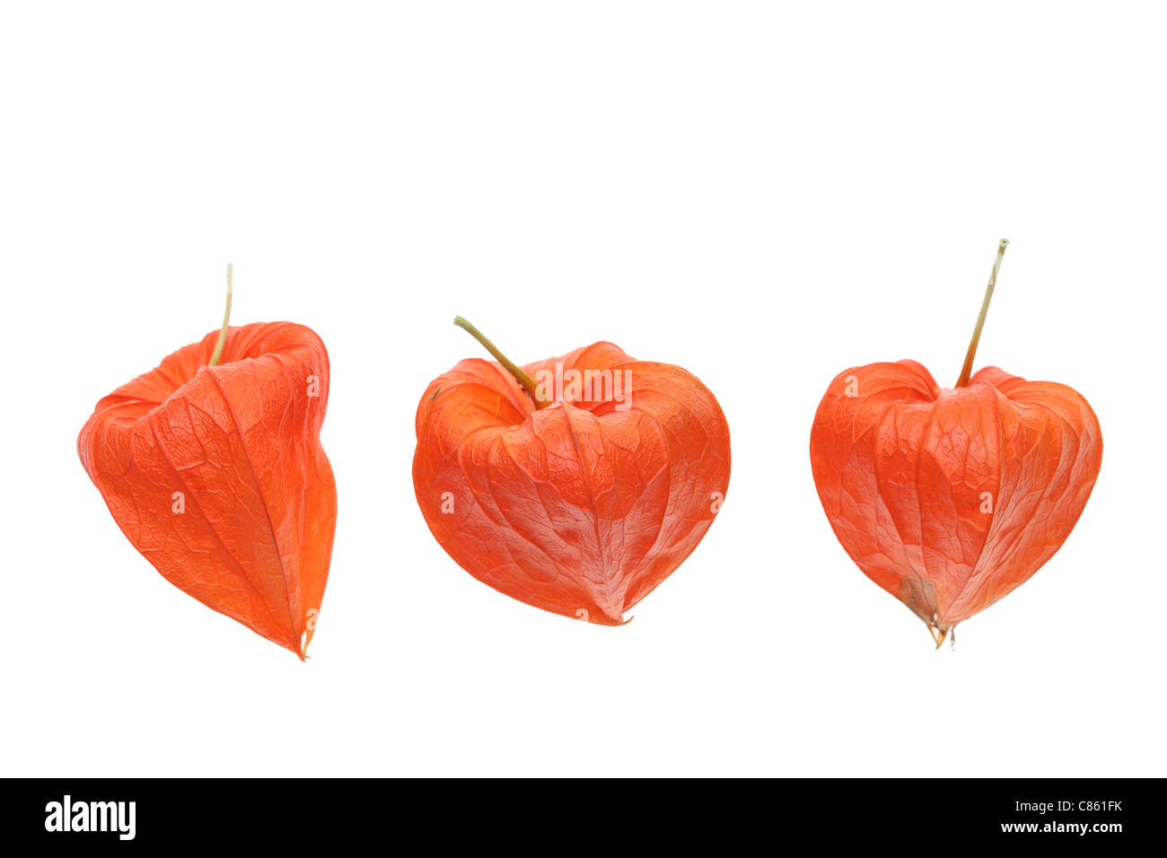 Vista ravvicinata di arancia fresca alkekengi physalis (le lanterne cinesi) Foto Stock