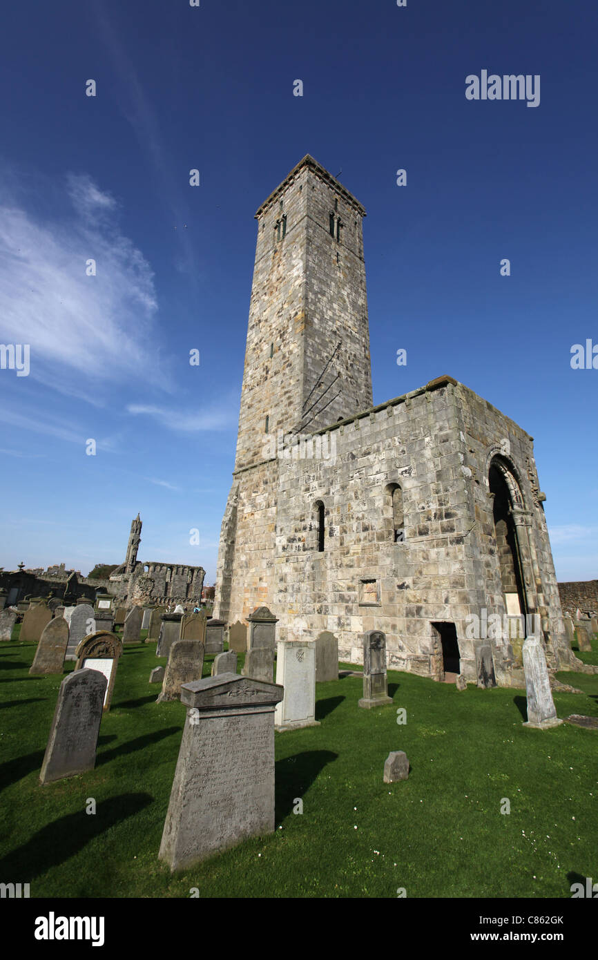 Città di St Andrews, Scozia. St regola rovine della chiesa. Foto Stock