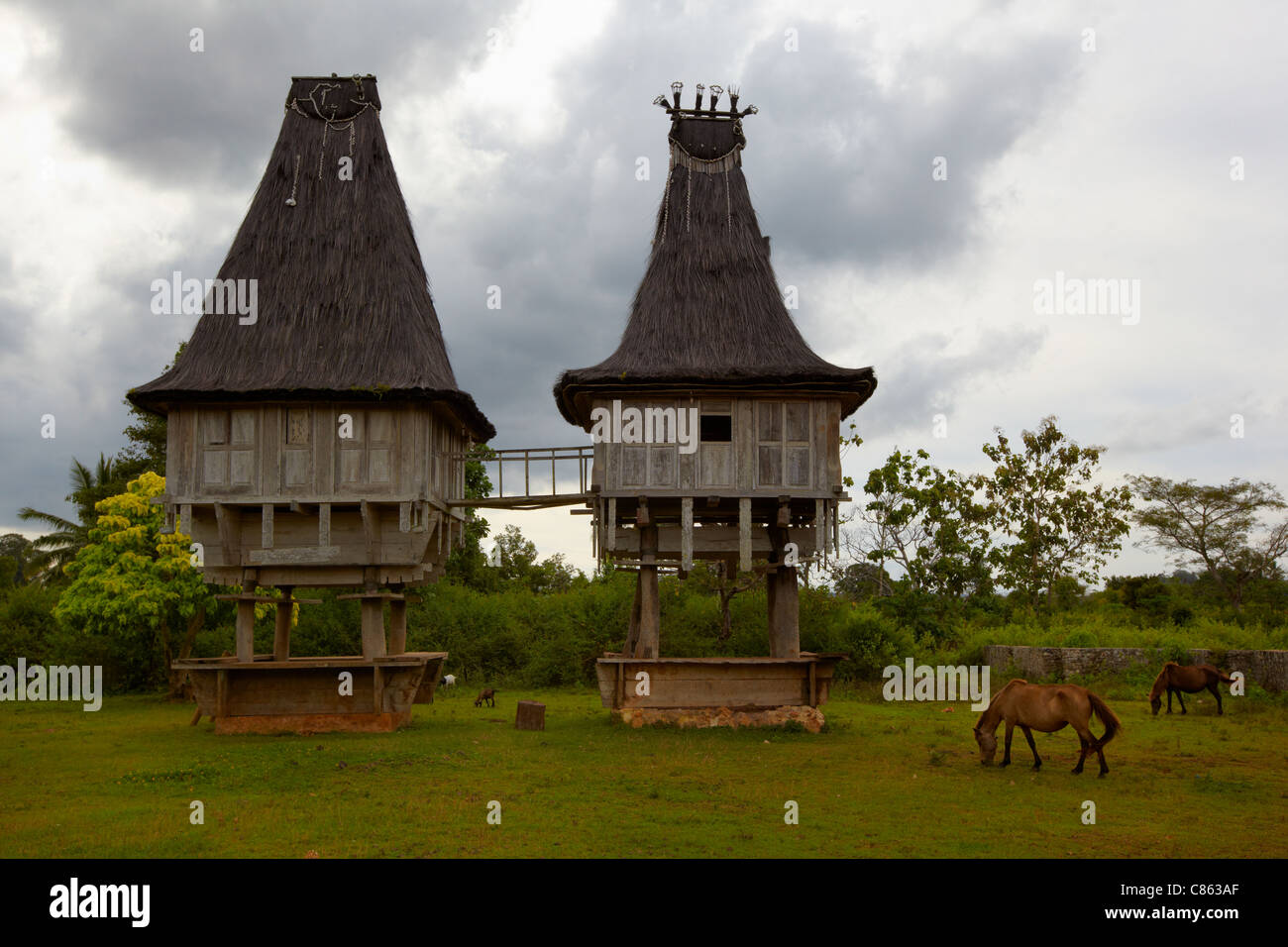 Stile Fataluku Case, Fuiloro, Timor orientale, Asia Foto Stock