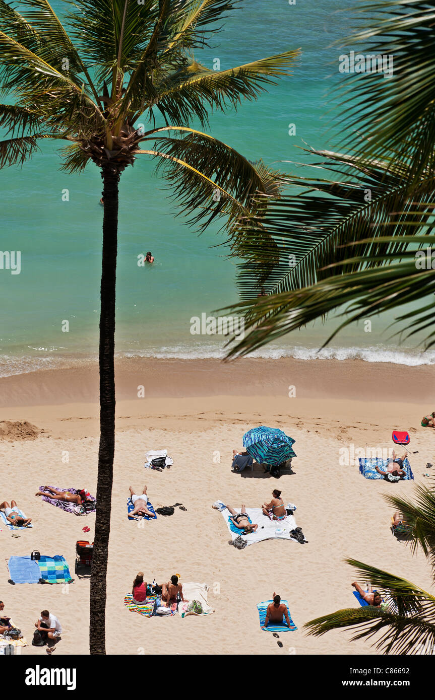 Hawaii travel: elevato angolo di visione dei frequentatori di spiaggia su Sans Souci Beach, Honolulu, Hawaii. Foto Stock