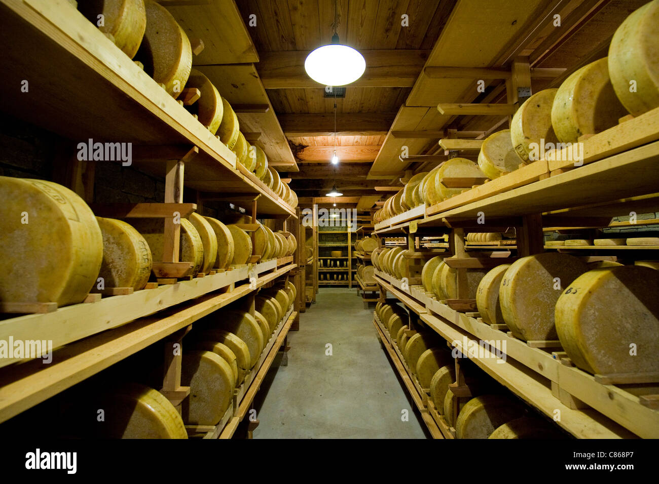 I formaggi stagionati, "casera" Valli del Bitto. Gerola Alta, Lombardia, Italia Foto Stock