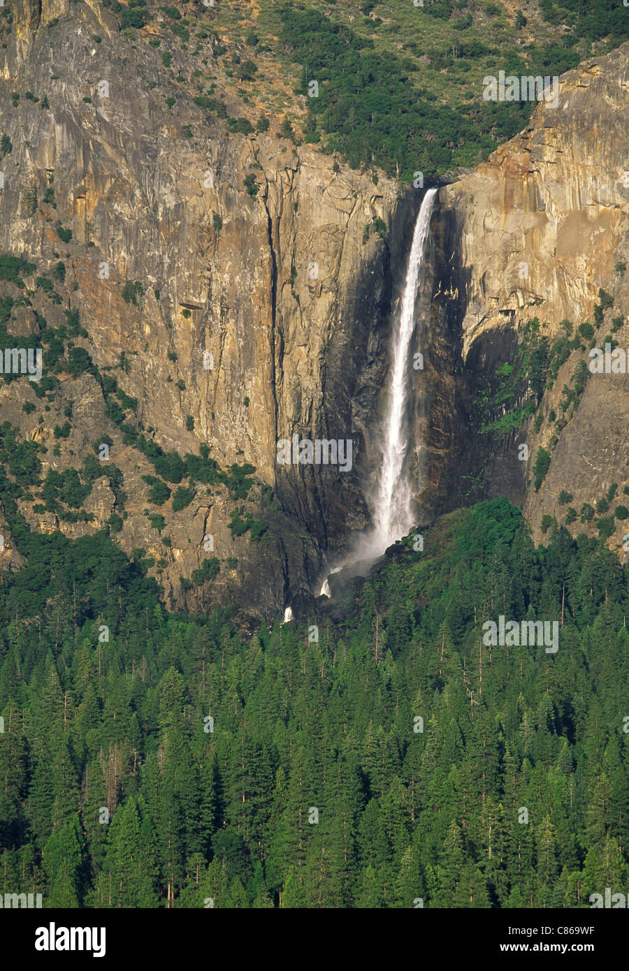 Bridalveil Falls, Yosemite National Park, STATI UNITI D'AMERICA Foto Stock