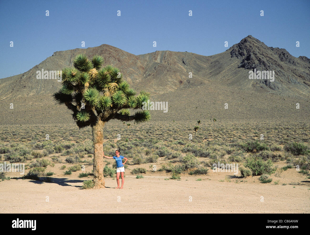 Joshua Tree e giovane ragazza, Valle della Morte Foto Stock
