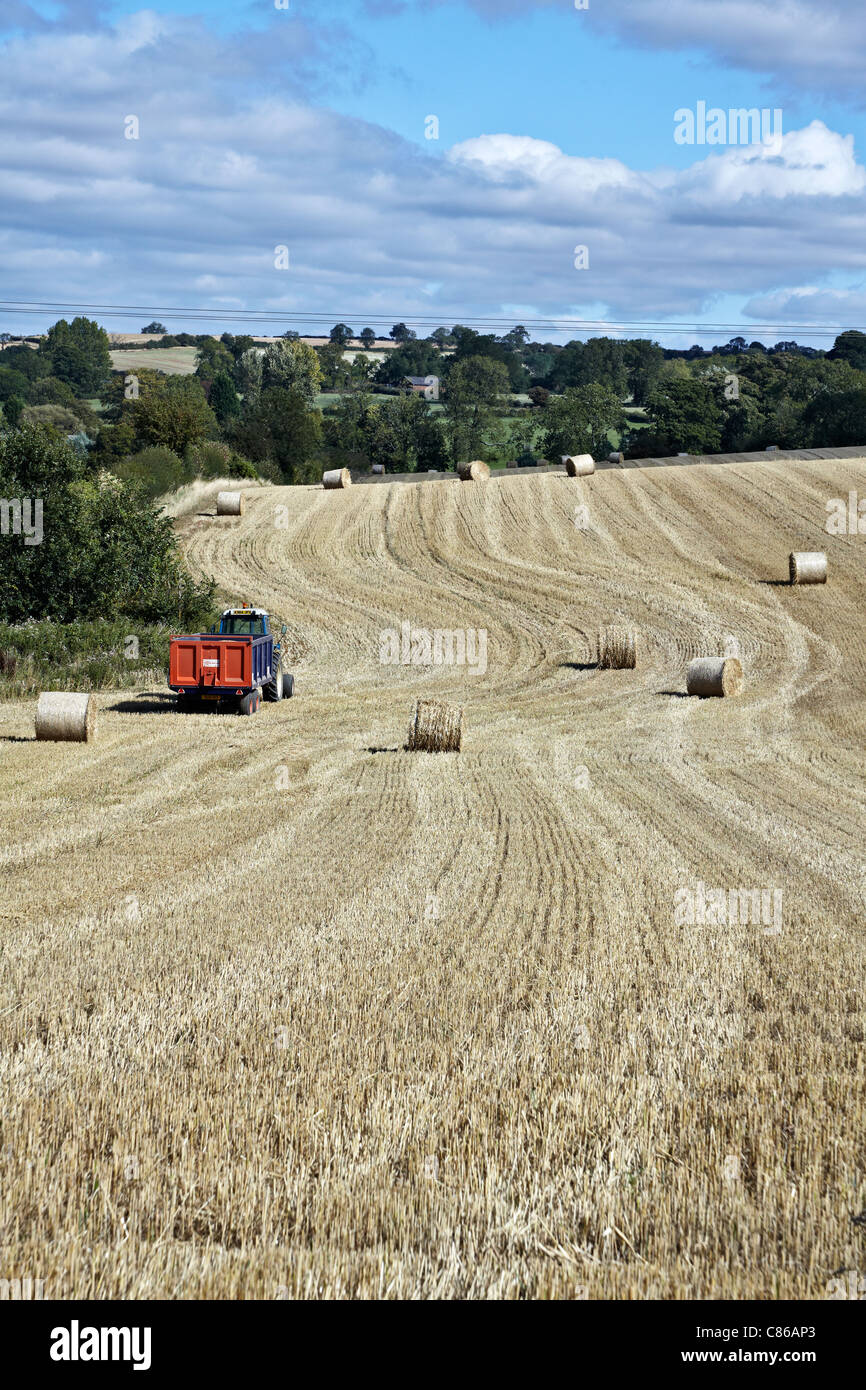 Scena estiva rurale inglese con balle di fieno raccolte Foto Stock