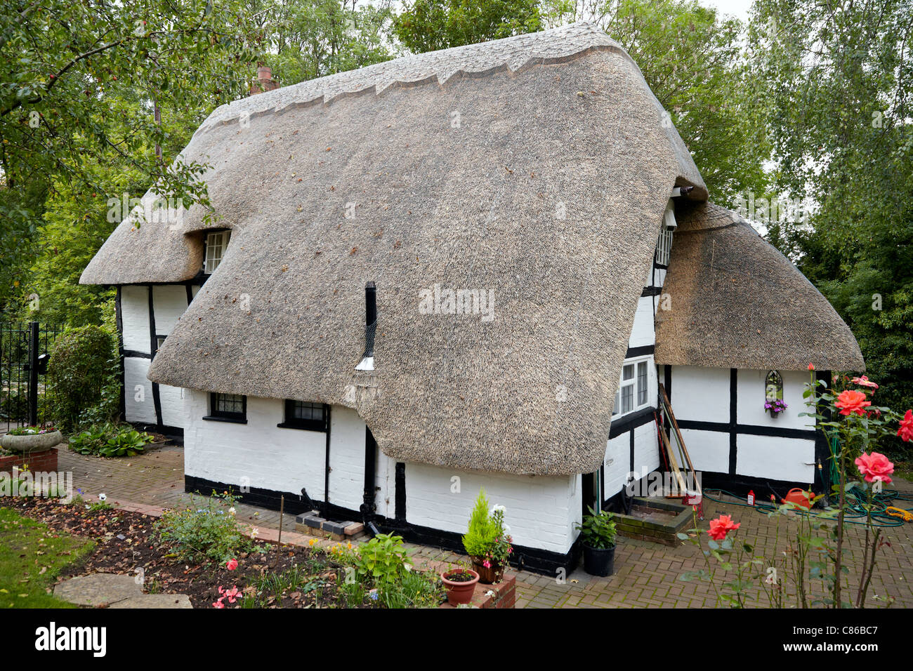 Cottage in paglia Regno Unito. . Un immenso tetto di paglia su un cottage di campagna in paglia Tudor fittizio. Shottery Stratford Upon Avon Warwickshire Inghilterra Regno Unito Foto Stock
