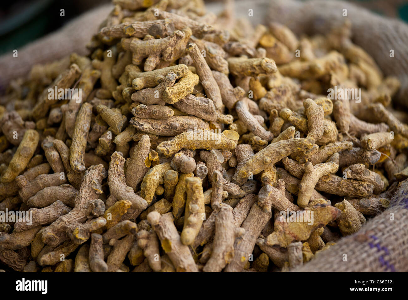 Essiccato di radice di zenzero in vendita presso Khari Baoli spezie e cibi essiccati mercato, Vecchia Delhi, India Foto Stock