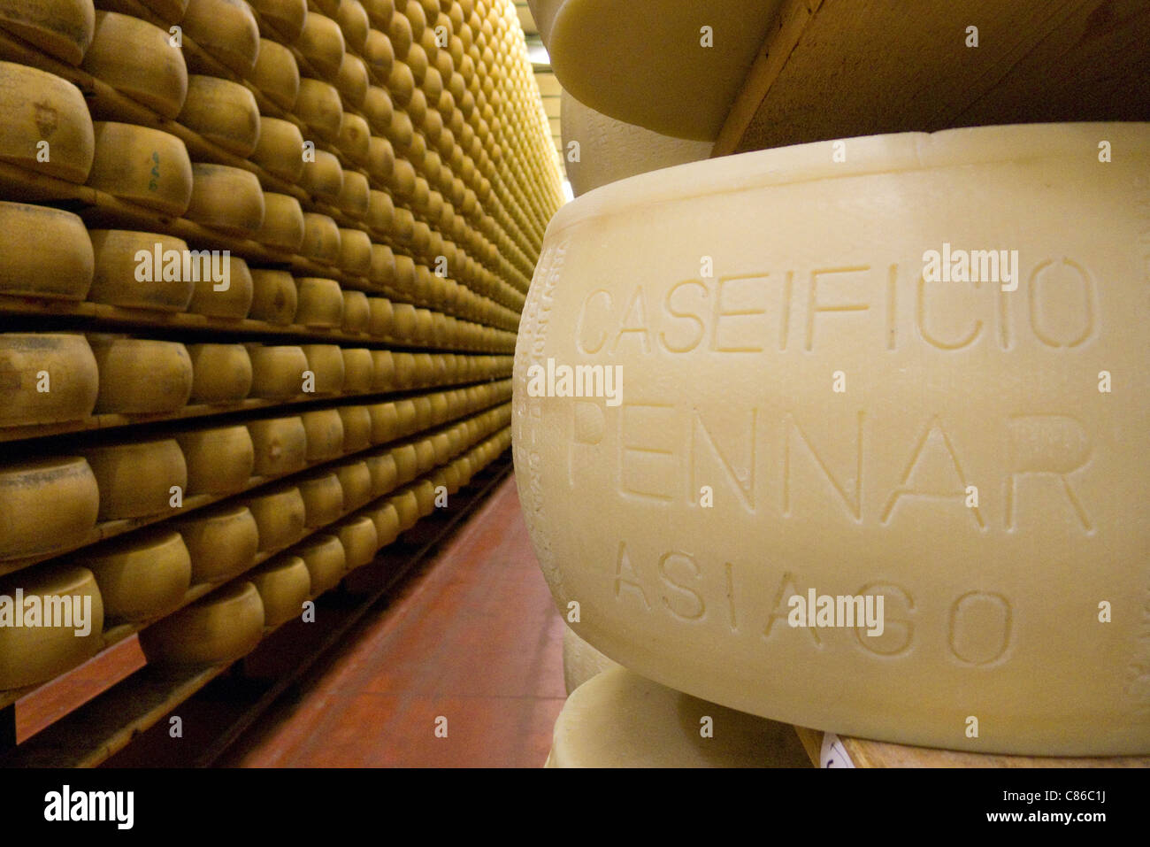 Formaggi la stagionatura in celle frigorifere a Pennar diario in Asiago, Veneto, Italia Foto Stock