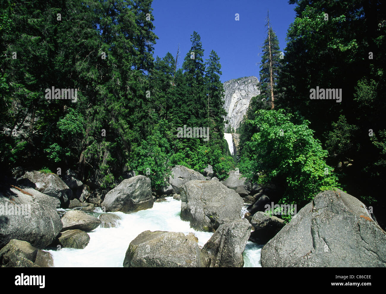 Primaverile cade e il fiume Merced, il Parco Nazionale di Yosemite Foto Stock