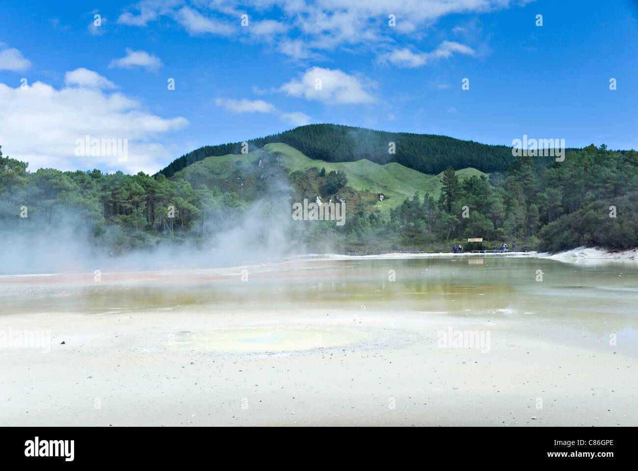 I bei colori e acqua di cottura a vapore dell'artista della tavolozza Wai-O-Tapu Thermal Wonderland Rotorua Nuova Zelanda NZ Foto Stock