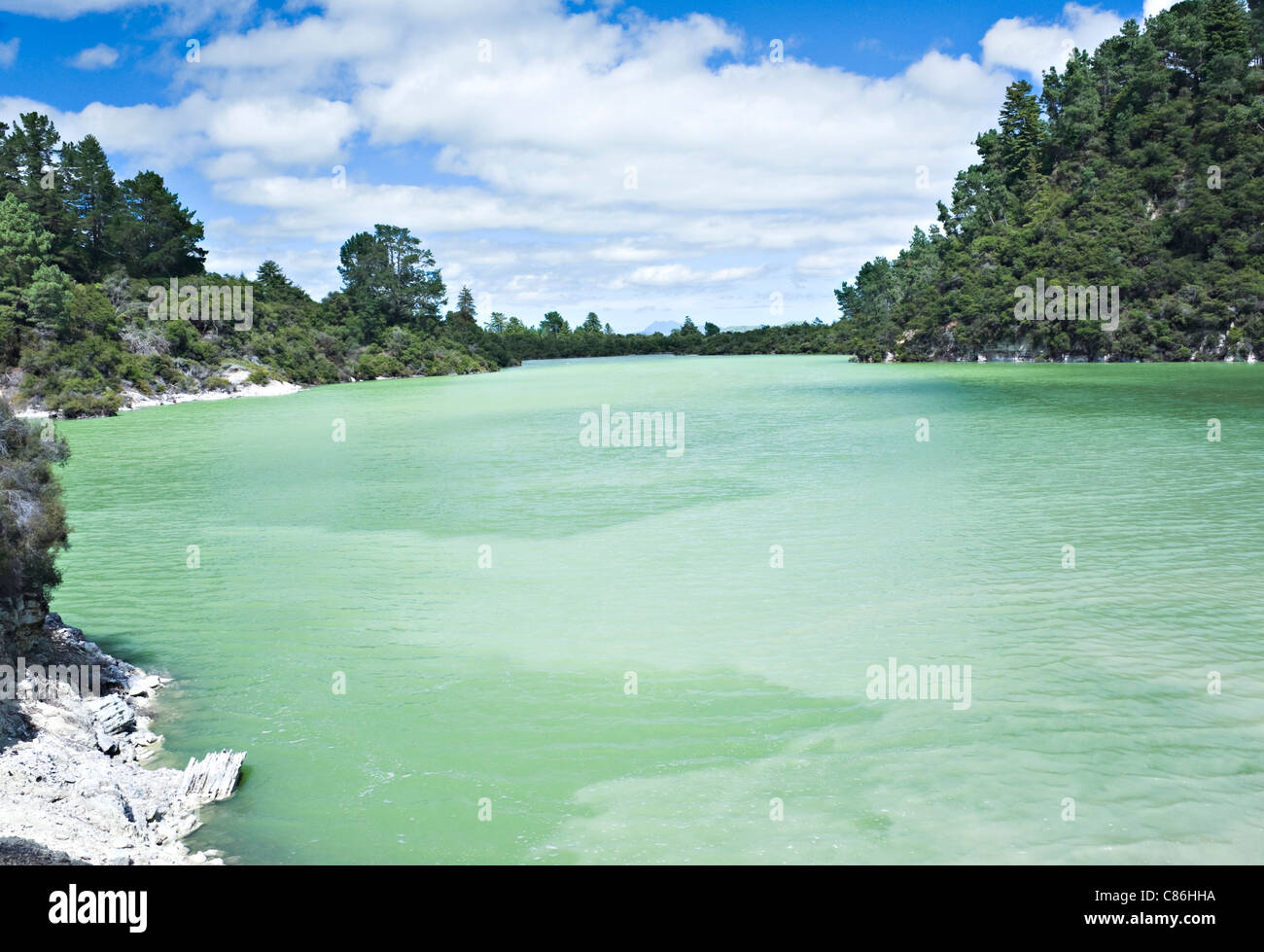 Le acque verdi del Lago Ngakoro Wai-O-Tapu Thermal Wonderland vicino a Rotorua Isola del nord della Nuova Zelanda NZ Foto Stock