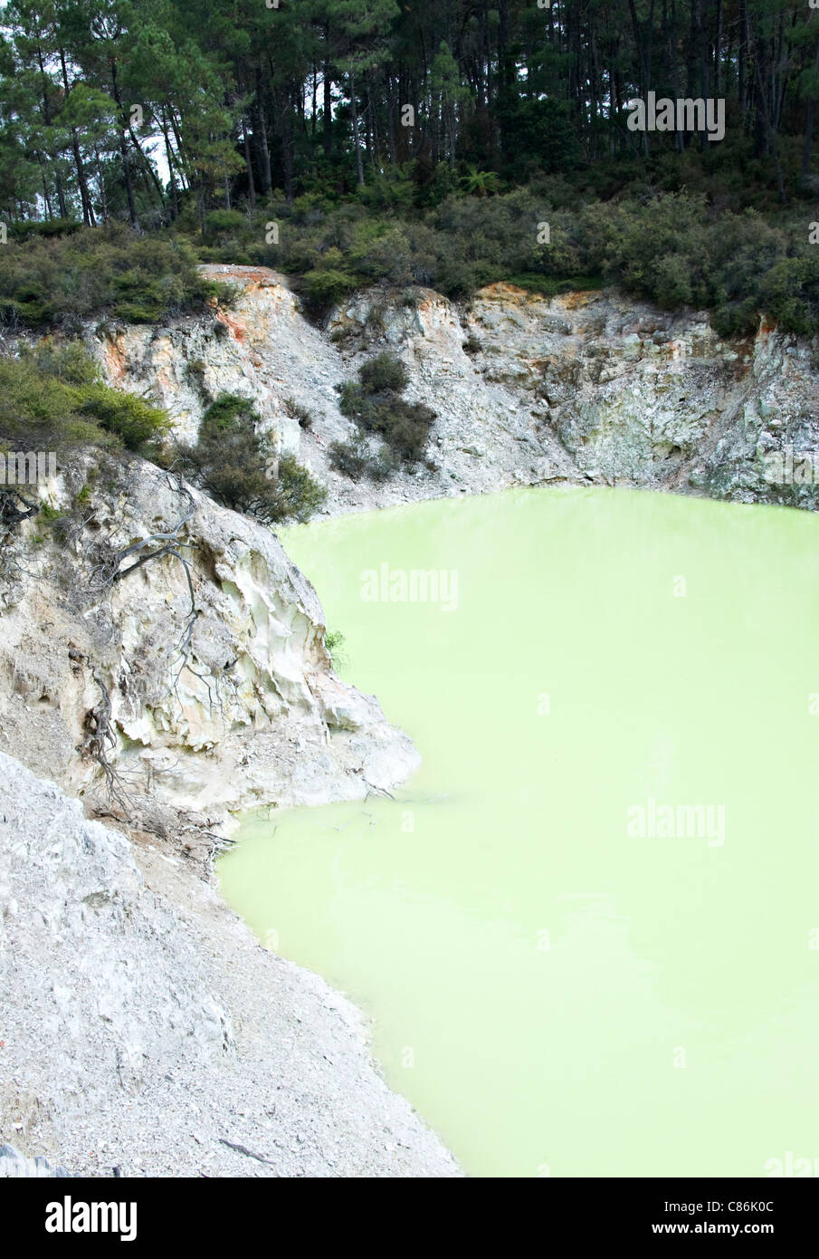 Le acque verdi del diavolo Bagno del cratere a Wai-O-Tapu Thermal Wonderland Rotorua Isola del nord della Nuova Zelanda NZ Foto Stock